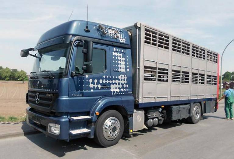 Доставить свиней автотранспортом из Татищева в Сергиев Посад